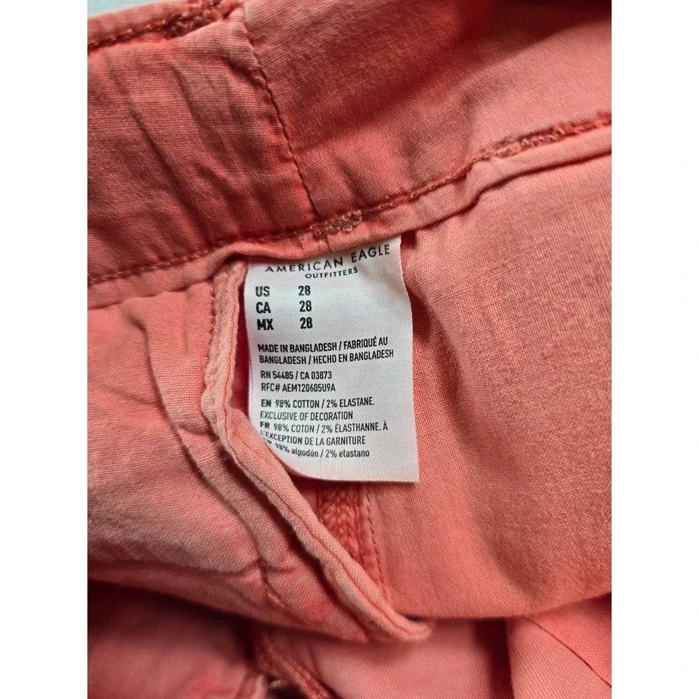 American Eagle Shorts Mens 28 Coral Stretch Classic 10 Next Level Flex NEW